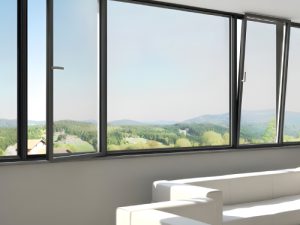WINDOWS